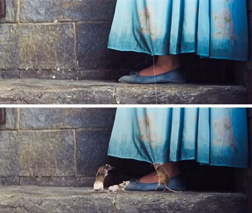 Không có chuột đâu nên đừng sợ nhé.