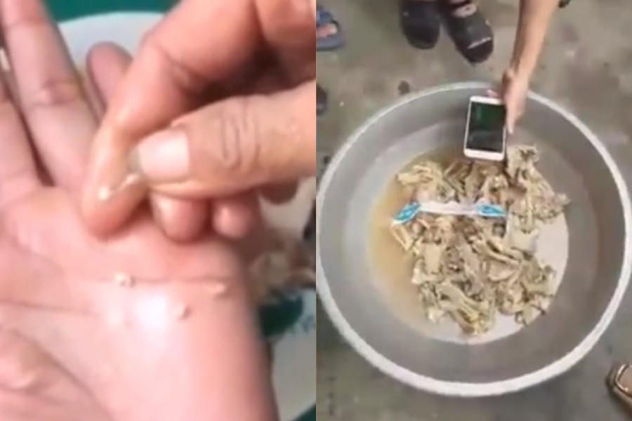 Các hình ảnh xuất hiện trên Facebook với các đoạn clip cho học sinh ăn thịt lợn nghi mắc bệnh sán gạo và thịt gà đông lạnh không đảm bảo an toàn. Không còn mẫu thịt nghi nhiễm sán lợn ở trường học Bắc Ninh để điều tra