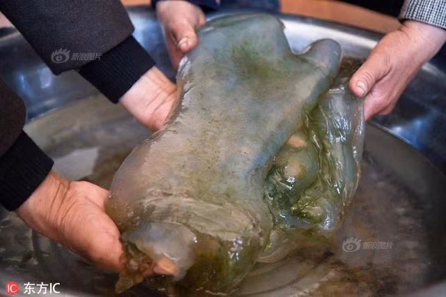 Vật thể lạ mà người đàn ông Trung Quốc tình cờ phát hiện.