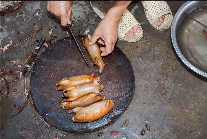 Khi nhà báo Tây thử món chuột đồng Việt Nam - ảnh 10