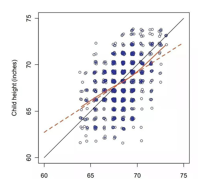 Bảng đánh giá chiều cao của bố mẹ và con cái của Galton. Ảnh: Study163.com