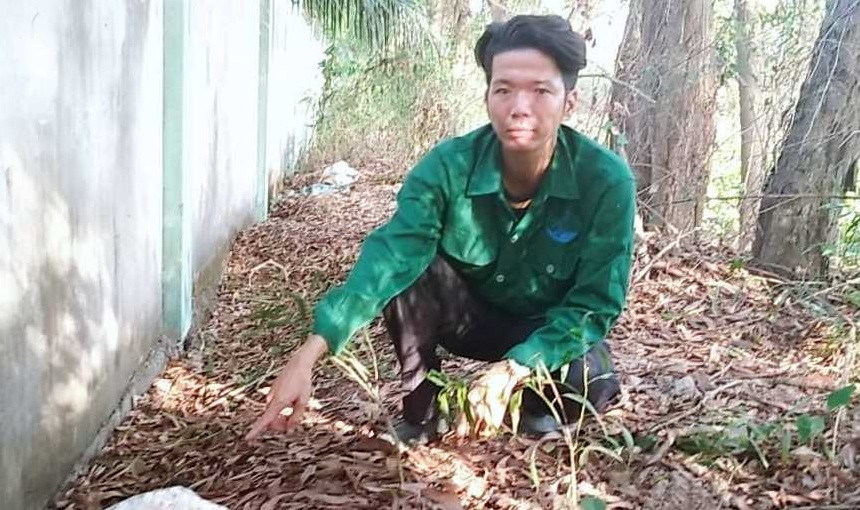 Nhân viên Nhà máy xử lý rác thải TP. Cà Mau chỉ nơi chôn thai nhi. 