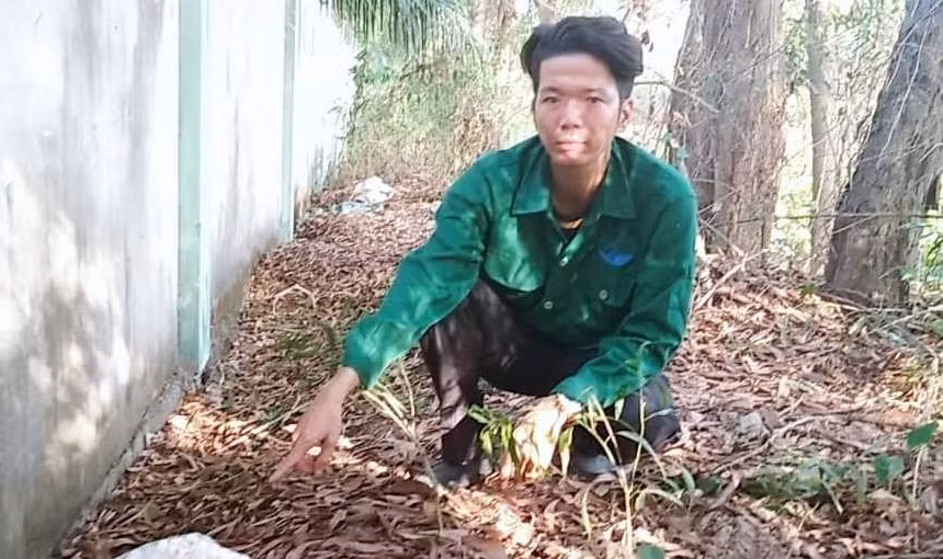 Nhân viên Nhà máy xử lý rác thải TP. Cà Mau chỉ nơi chôn thai nhi. 