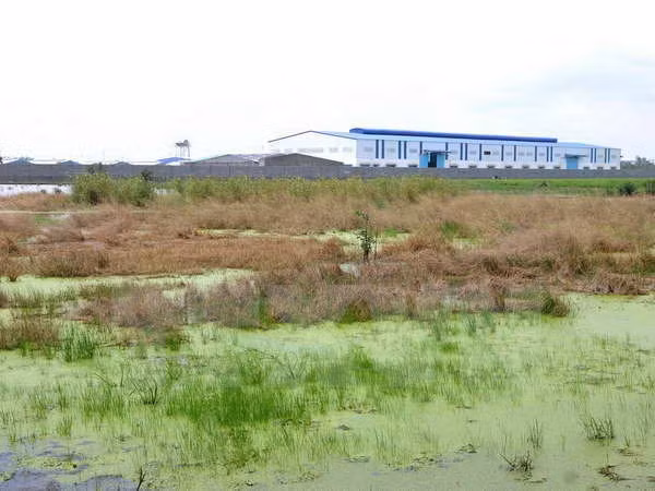 Hỗ trợ thiết thực cho nông dân khi thu hồi đất nông nghiệp