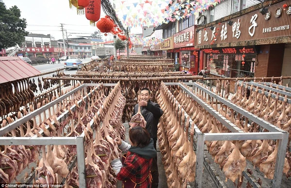 Hàng chục nghìn con vịt quay phơi mình trên dãy phố dài 2km