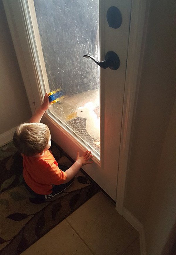 Chàng vệ sĩ vịt và cậu chủ tí hon đáng yêu nhất quả đất - Ảnh 13.