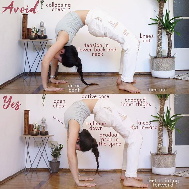 7 tư thế yoga giúp chữa đau lưng và trị chứng mất ngủ