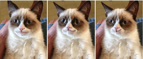 Cô mèo đến từ Arizona đã "giúp hàng triệu người mỉm cười". Cô mèo đến từ Arizona đã "giúp hàng triệu người mỉm cười".