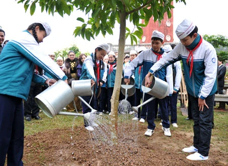 Quảng Nam: Huyện Nông Sơn phát động trồng cây trong trường học