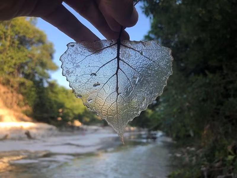 Những “kho báu” được phát hiện trong tình huống không ai ngờ ảnh 6 Những “kho báu” được phát hiện trong tình huống không ai ngờ ảnh 6