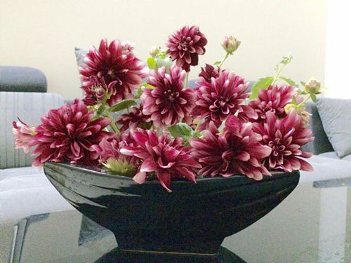 Cách cắm hoa thược dược vừa đẹp vừa sang, mang cả mùa xuân và ngôi nhà bạn ảnh 20 Cách cắm hoa thược dược vừa đẹp vừa sang, mang cả mùa xuân và ngôi nhà bạn ảnh 20