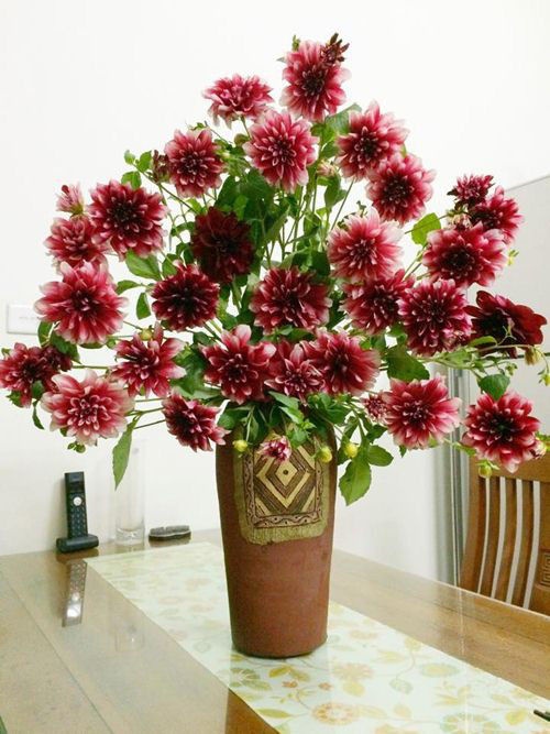 Cách cắm hoa thược dược vừa đẹp vừa sang, mang cả mùa xuân và ngôi nhà bạn ảnh 19 Cách cắm hoa thược dược vừa đẹp vừa sang, mang cả mùa xuân và ngôi nhà bạn ảnh 19