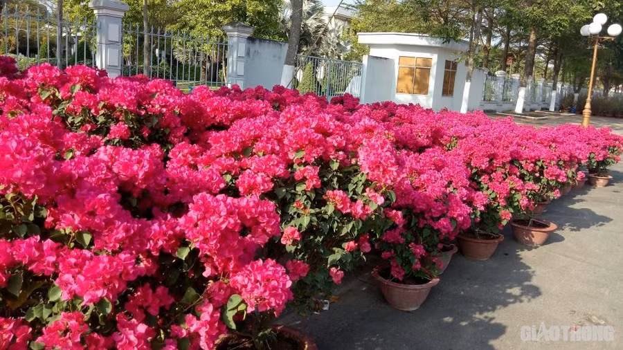 Keyword đầu tiên có dấu