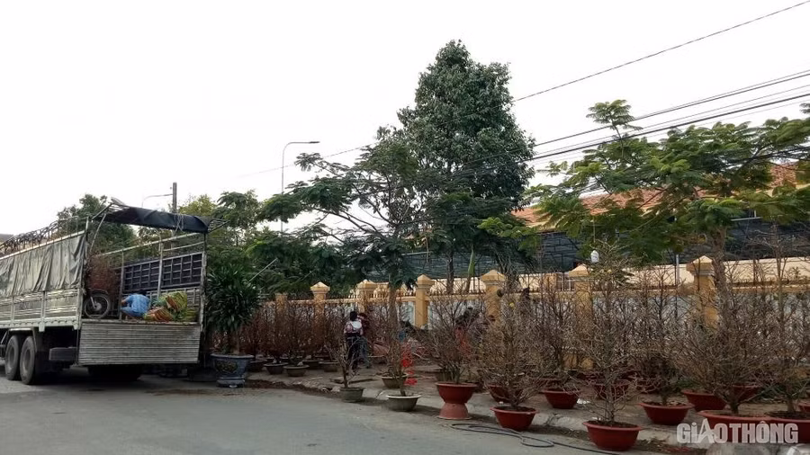 Keyword đầu tiên có dấu