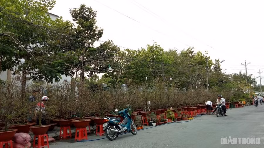 Keyword đầu tiên có dấu