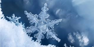 Những điều xảy ra với cơ thể khi bị đóng băng tới chết Nhung dieu xay ra voi co the khi bi dong bang toi chet