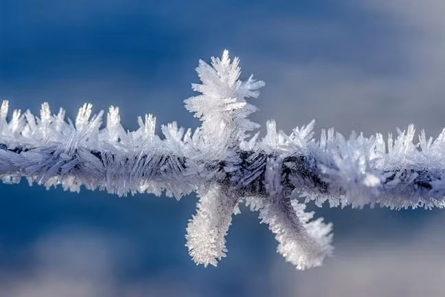 Nhung dieu xay ra voi co the khi bi dong bang toi chet