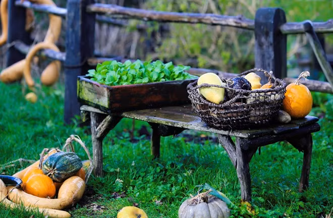 Khu vườn rau của người lùn trong phim cũng được tái hiện nguyên vẹn, tỉ mỉ đến từng chi tiết.