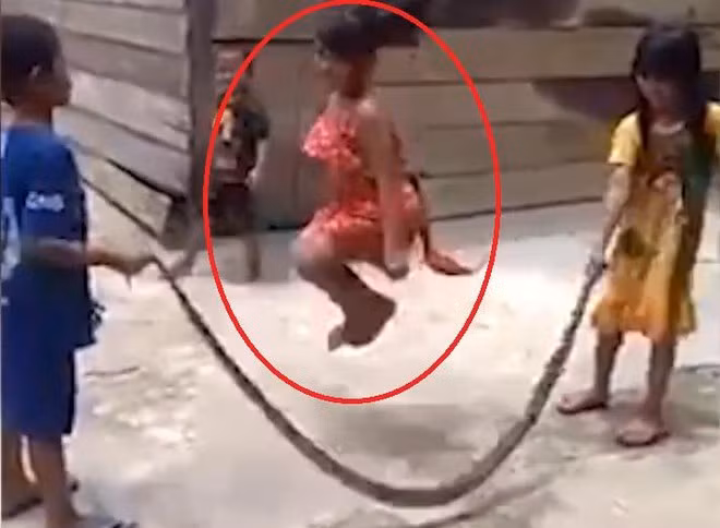 Nhảy dây bằng xác rắn.