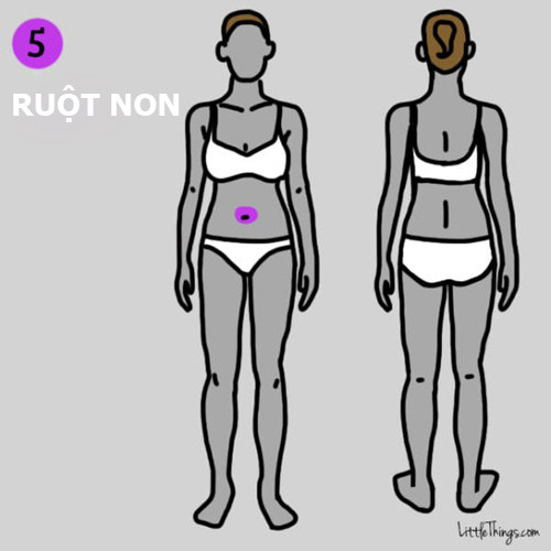 9 vị trí đau trên cơ thể cảnh báo bệnh nguy hiểm ảnh 5 9 vị trí đau trên cơ thể cảnh báo bệnh nguy hiểm - 5