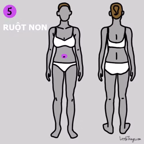 9 vị trí đau trên cơ thể cảnh báo bệnh nguy hiểm ảnh 5 9 vị trí đau trên cơ thể cảnh báo bệnh nguy hiểm - 5