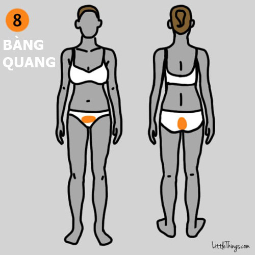 9 vị trí đau trên cơ thể cảnh báo bệnh nguy hiểm ảnh 8 9 vị trí đau trên cơ thể cảnh báo bệnh nguy hiểm - 8