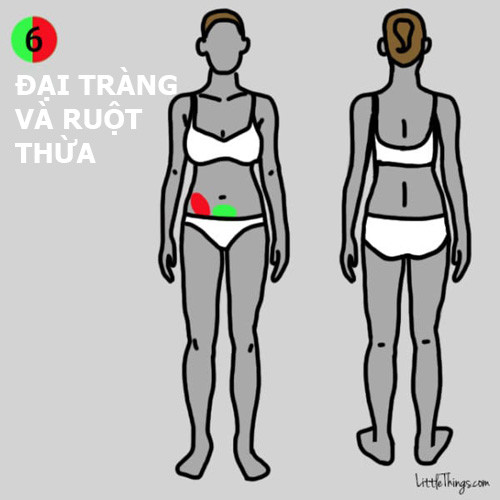9 vị trí đau trên cơ thể cảnh báo bệnh nguy hiểm ảnh 6 9 vị trí đau trên cơ thể cảnh báo bệnh nguy hiểm - 6