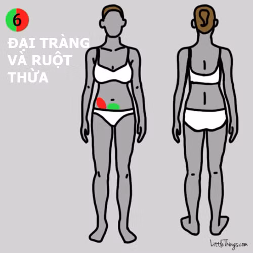9 vị trí đau trên cơ thể cảnh báo bệnh nguy hiểm ảnh 6 9 vị trí đau trên cơ thể cảnh báo bệnh nguy hiểm - 6