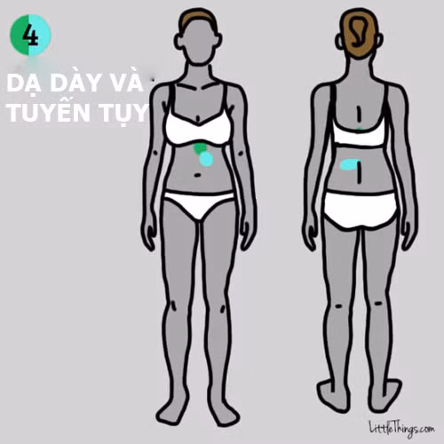 9 vị trí đau trên cơ thể cảnh báo bệnh nguy hiểm ảnh 4 9 vị trí đau trên cơ thể cảnh báo bệnh nguy hiểm - 4