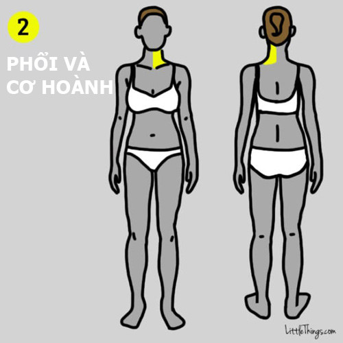 9 vị trí đau trên cơ thể cảnh báo bệnh nguy hiểm ảnh 2 9 vị trí đau trên cơ thể cảnh báo bệnh nguy hiểm - 2