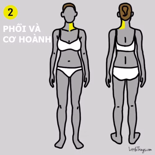 9 vị trí đau trên cơ thể cảnh báo bệnh nguy hiểm ảnh 2 9 vị trí đau trên cơ thể cảnh báo bệnh nguy hiểm - 2