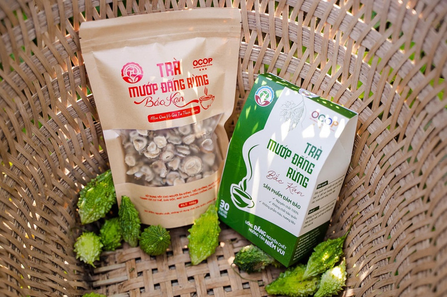Sản phẩm trà mướp đắng rừng đạt chứng nhận OCOP 3 sao. Sản phẩm trà mướp đắng rừng đạt chứng nhận OCOP 3 sao.