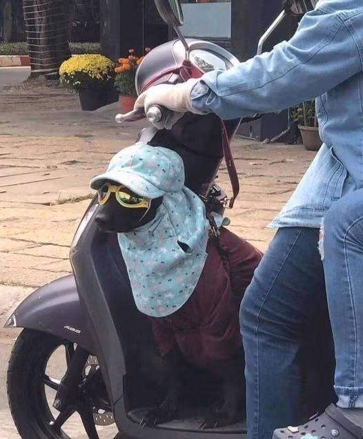 Ủa có trắng hả mà bày đặt chống nắng???