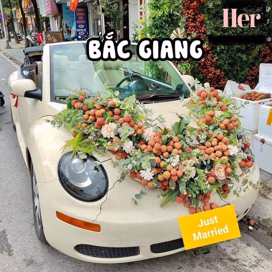 Cực kì thiết thực bởi xong lễ cưới có thể dỡ xuống mà ăn nhưng về phải nói thật là chúng tôi không đảm bảo nguyên vẹn về số lượng cho đến cuối ngày đâu nhé.