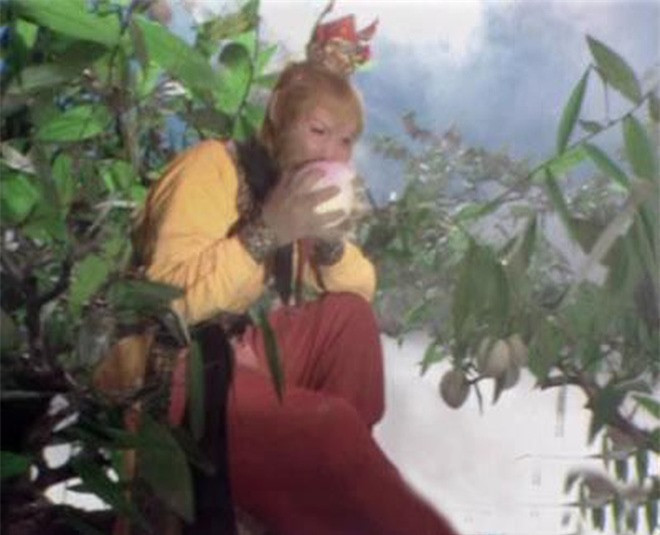 Bất ngờ với nguồn gốc vườn đào tiên hàng vạn năm trong Tây Du Ký - Ảnh 7. Bất ngờ với nguồn gốc vườn đào tiên hàng vạn năm trong Tây Du Ký - Ảnh 7.