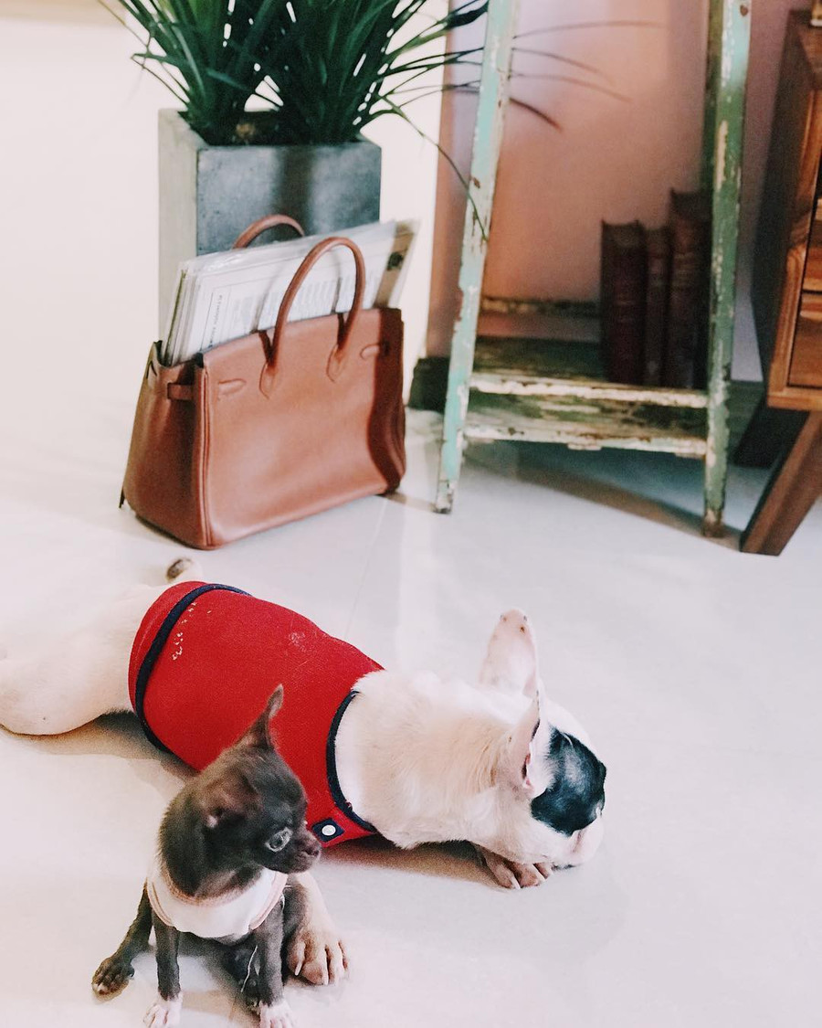 Tay chơi hàng hiệu có tiếng bóc phốt Sĩ Thanh dùng hàng nhái là ai? ảnh 13 Tay chơi hàng hiệu có tiếng bóc phốt Sĩ Thanh dùng hàng nhái là ai? ảnh 13