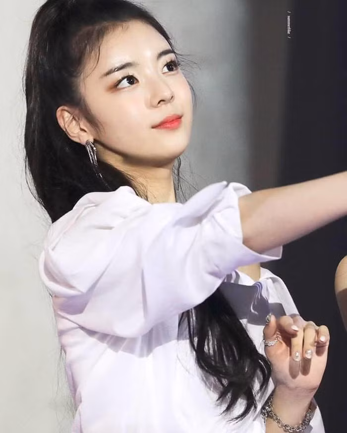 Những cô gái hút fan nữ nhất của làng nhạc Hàn ảnh 13