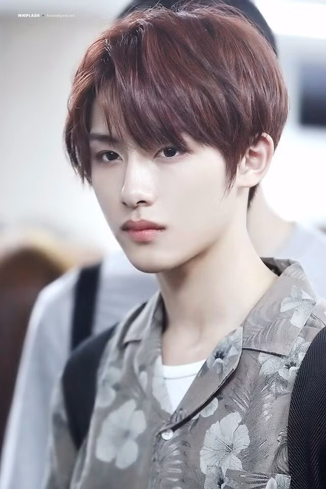 5 nam thần đẹp không góc chết, chỉ cần liếc qua, fan nữ cũng muốn rụng tim