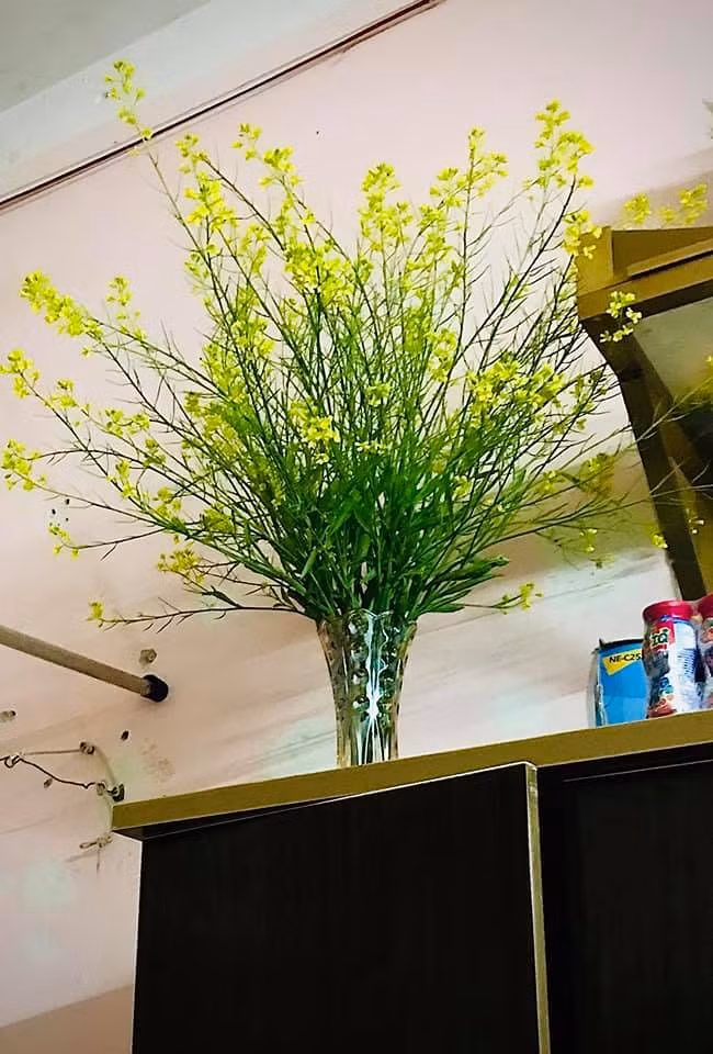 Mùng 8/3, tặng bạn gái bó hoa này liệu có bị giận không các bác?