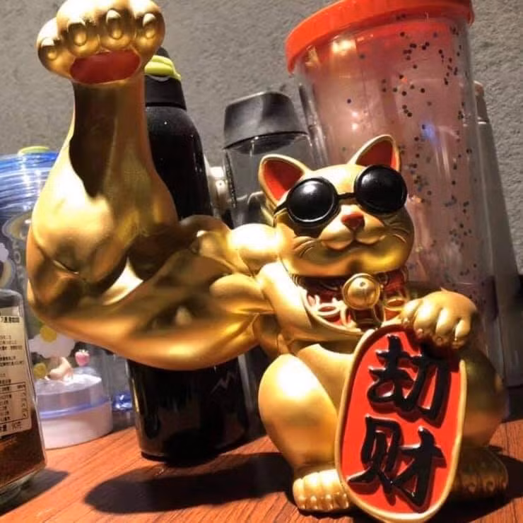 Mèo giang hồ, bảo kê cho mấy shop cầm đồ, đòi nợ, cho thuê