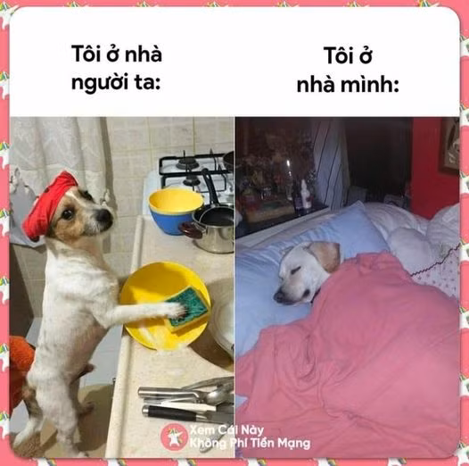 Khôn nhà dại chợ đấy!