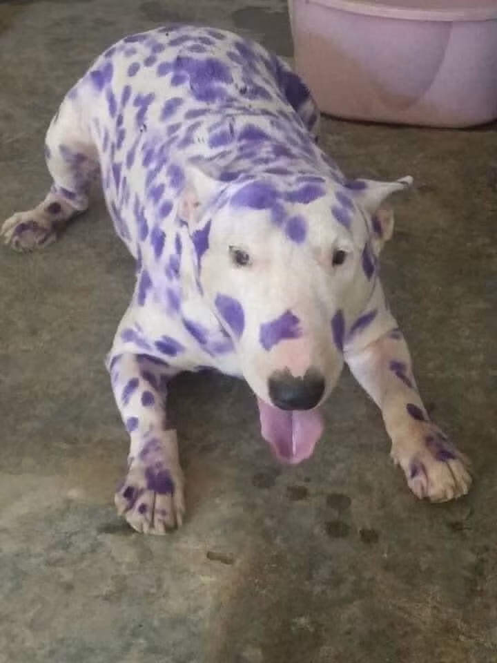 Đã bảo đừng lại gần con nít mà không nghe