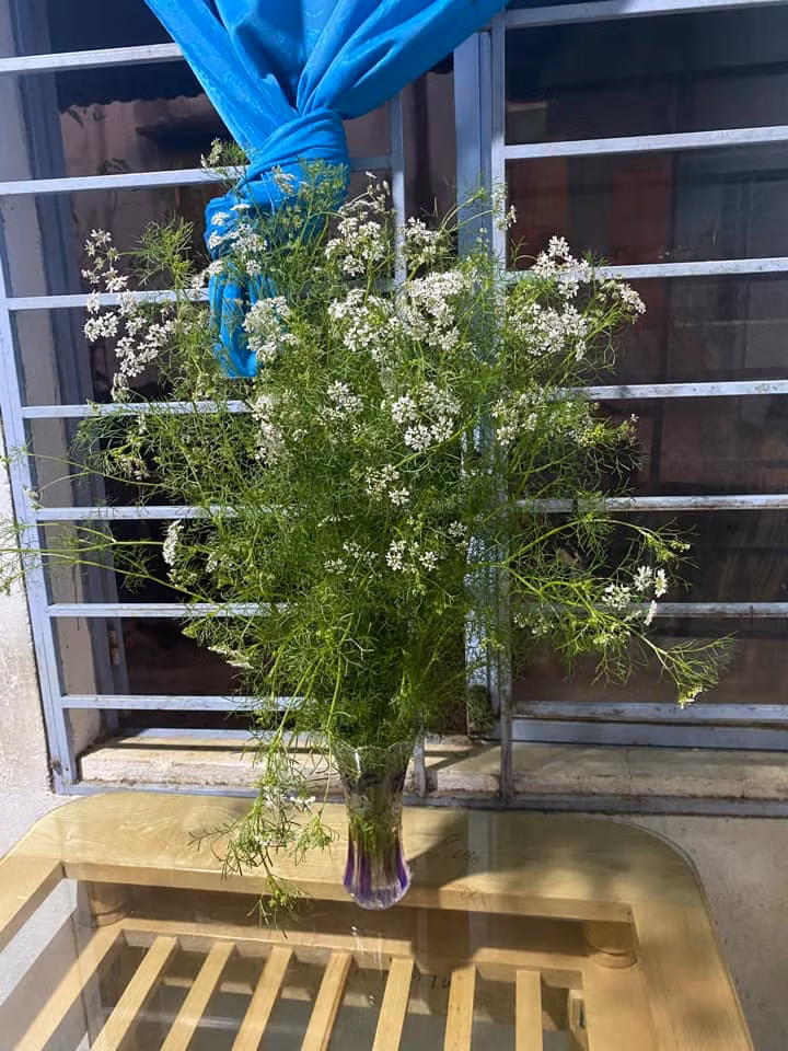 Tặng bạn gái bó hoa này vừa đẹp vừa thơm cả nhà