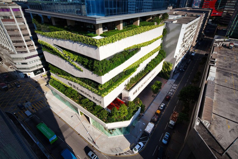 Các tầng phía dưới của trung tâm thương mại 28 tầng ở Hong Kong, có một bãi đậu xe được hình thành ốc đảo. Các bức tường của nó được bao phủ bởi cây thường xuân giúp cho bãi đậu xe này có một thảm thực vật xanh mát. Mỗi khi vào bãi đậu xe này người ta có cảm giác như lạc vào rừng xanh sâu thẳm.