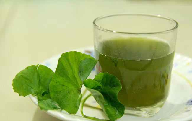 cac-loai-cay-thuoc-nam-giai-doc-co-the-650x410