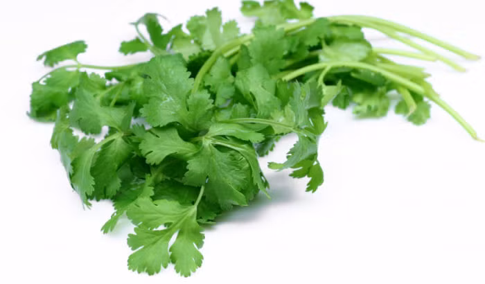 rau-mui-tri-tan-nhang-700x410