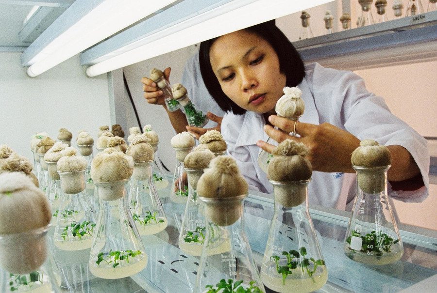 Đào tạo đại học trong thời đại 4.0 không thể tách rời khỏi yêu cầu thực tiễn với trình độ lực lượng lao động Đào tạo đại học trong thời đại 4.0 không thể tách rời khỏi yêu cầu thực tiễn với trình độ lực lượng lao động