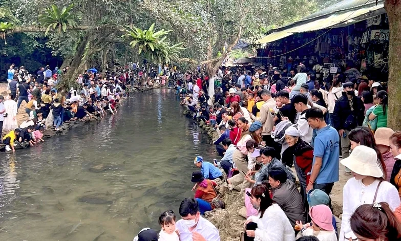 Khu du lịch Suối cá Cẩm Lương (Cẩm Thuỷ) đón hàng chục nghìn lượt khách dịp Tết nguyên đán 2024. (Ảnh: NT)