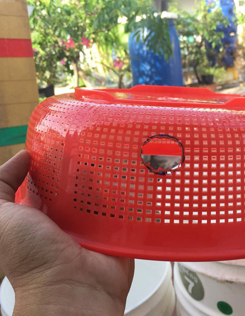 Cách trồng dưa lưới “bán thủy canh” trên sân thượng ảnh 4 Khoét một lỗ như hình ở bên cạnh của chiếc rổ nhữa đường kính 280 mm. Từ mép trên lỗ tới đáy rổ sẽ là đoạn thoáng khí cho cây.