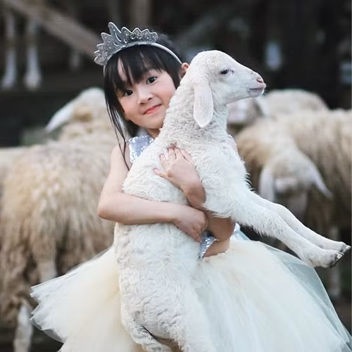 3 be gai viet lai tay sieu dang yeu co luong fan ap dao nghe si noi tieng - 7